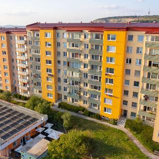 Pronájem bytu 2+1 60 m² Brno, Elplova