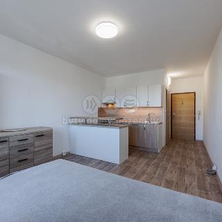 Pronájem bytu 1+kk a garsoniéry 25 m² Chodov, Čs. odbojářů