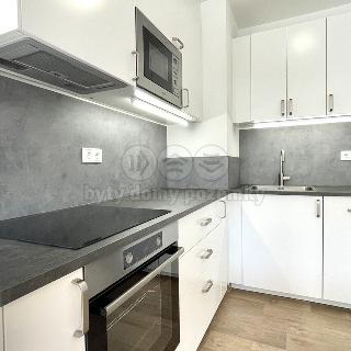 Pronájem bytu 2+kk 56 m² Žamberk, Divišova