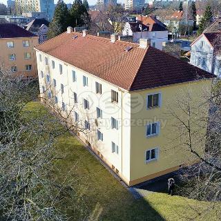 Prodej bytu 2+1 55 m² České Budějovice, Hálkova