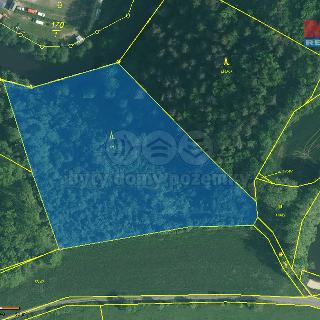 Prodej lesa 9 272 m² Římov