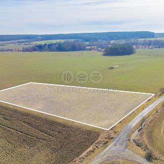 Prodej zemědělské půdy 5 000 m² Horní Bělá