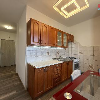 Pronájem bytu 1+1 41 m² Karviná, Sovova