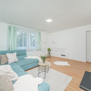 Pronájem bytu 3+1 150 m² Němčice nad Hanou, Šafaříkova