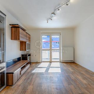 Prodej bytu 2+1 54 m² Ostrava, Smirnovova