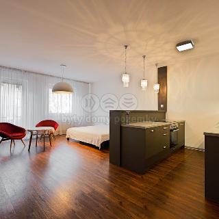 Prodej bytu 1+kk a garsoniéry 45 m² Olomouc, Wellnerova