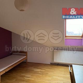 Pronájem bytu 1+kk a garsoniéry 16 m² Srch, Račanská