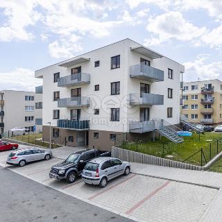 Pronájem bytu 1+kk a garsoniéry 28 m² Milovice