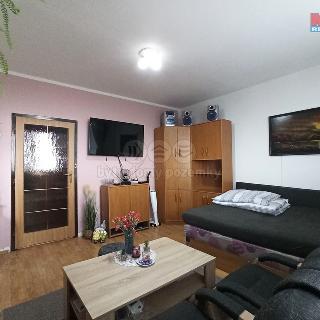 Prodej bytu 2+1 44 m² Paseka