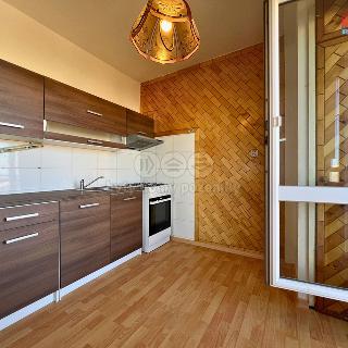 Pronájem bytu 2+1 64 m² Frýdek-Místek, Československé armády