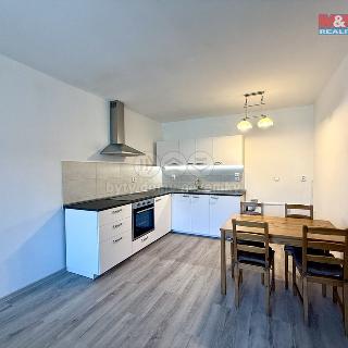 Pronájem bytu 2+kk 52 m² Ostrava, Jiřího Herolda