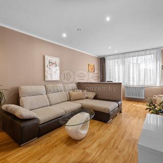 Prodej bytu 3+1 59 m² Kladno, Benešovská