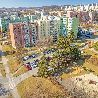 Prodej bytu 3+1 72 m² Brno, Karpatská