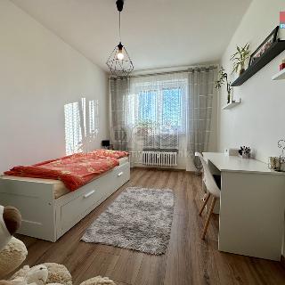 Prodej bytu 3+kk 53 m² Ostrava, Havlíčkovo náměstí