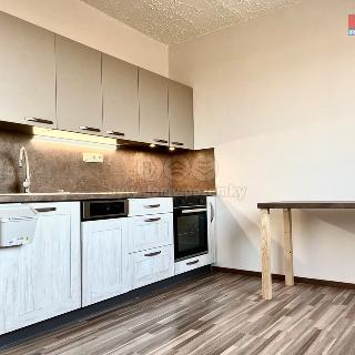 Pronájem bytu 1+kk a garsoniéry 20 m² Liberec, Dobiášova