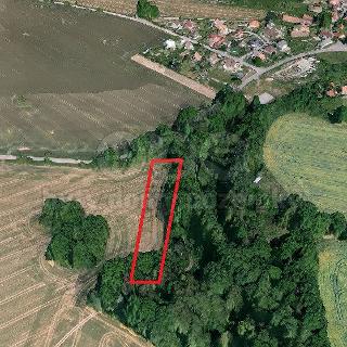 Prodej zemědělské půdy 1 744 m² Týnec nad Sázavou