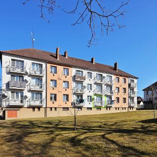 Prodej bytu 3+1 62 m² Polná, Palackého