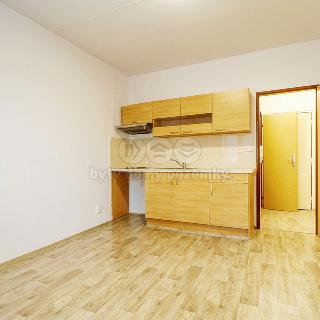 Pronájem bytu 1+kk a garsoniéry 20 m² Klatovy, Pod Hůrkou