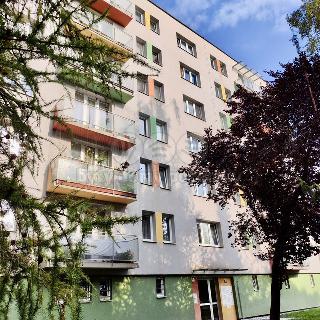 Prodej bytu 3+1 58 m² Strakonice, Erbenova