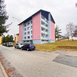 Prodej bytu 1+1 38 m² Studená, Komenského