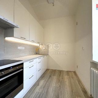 Pronájem bytu 2+1 65 m² Litoměřice, Křižíkova