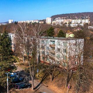 Prodej bytu 2+1 50 m² Ústí nad Labem, Malátova