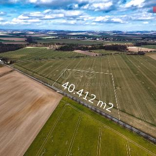 Prodej zemědělské půdy 83 516 m² Holasovice