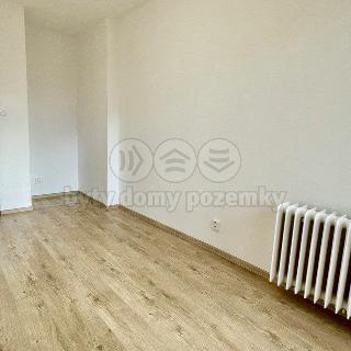 Pronájem bytu 1+kk a garsoniéry 18 m² Třinec, Beskydská