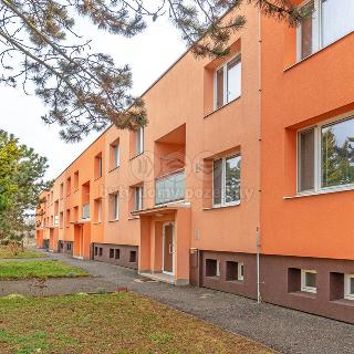 Prodej bytu 3+1 72 m² Rebešovice