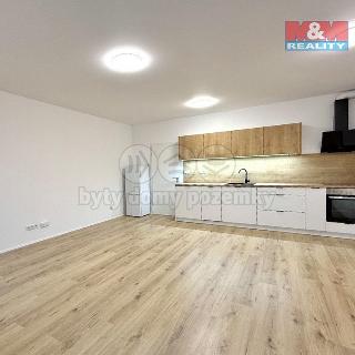 Pronájem bytu 1+kk a garsoniéry 48 m² Plzeň, Železná