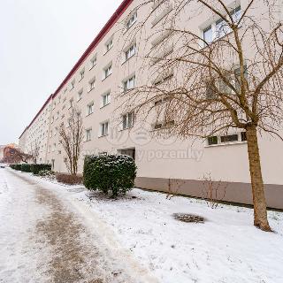 Pronájem bytu 1+1 35 m² Jihlava, Žižkova