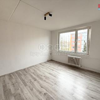 Pronájem bytu 1+kk a garsoniéry 21 m² Cheb, Palackého