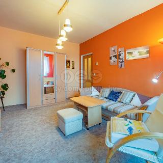 Prodej bytu 1+1 36 m² Aš, Hlavní