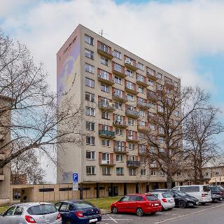 Pronájem bytu 3+1 66 m² Pardubice, Palackého třída