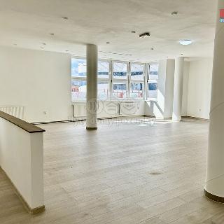 Pronájem obchodu 193 m² Liberec, Moskevská