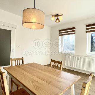 Pronájem bytu 2+kk 56 m² Žamberk, Divišova