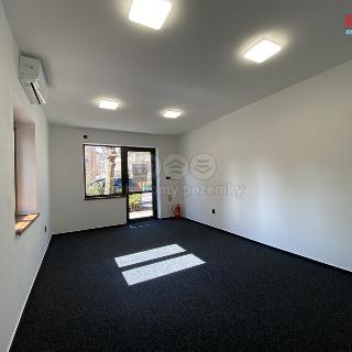 Pronájem obchodu 40 m² Český Těšín, Studentská