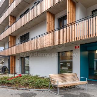 Prodej bytu 1+kk a garsoniéry 29 m² Plzeň, Cyklistická