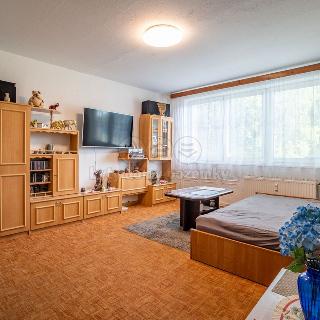 Prodej bytu 3+1 69 m² Ostrava, Václava Košaře