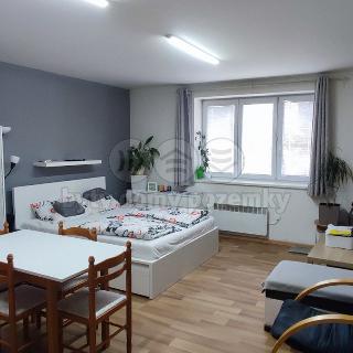 Pronájem bytu 2+kk 45 m² Vřesina, Ovocná