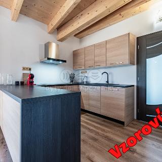 Prodej bytu 1+kk a garsoniéry 31 m² Horní Planá, Jenišov