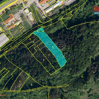 Prodej lesa 4 785 m² Vsetín