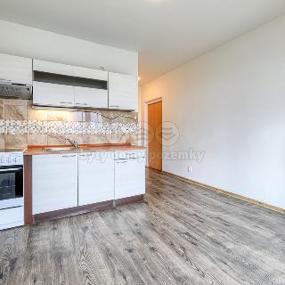 Pronájem bytu 1+1 41 m² Plzeň, Domažlická