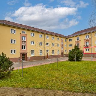 Pronájem bytu 2+1 54 m² Pardubice, Artura Krause