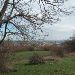 Prodej zemědělské půdy 912 m² Třebenice