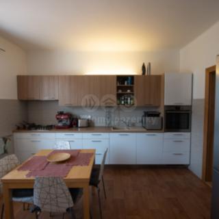 Pronájem bytu 2+1 68 m² Hradec Králové, Třebízského