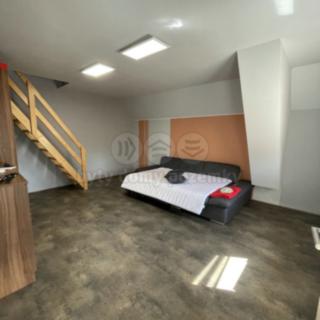 Pronájem rodinného domu 120 m² Dolní Břežany, Keltská