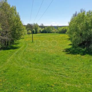 Prodej louky 4590 m² Horní Bříza