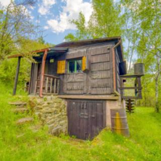 Prodej chaty 35 m² Ošelín