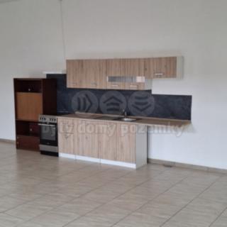 Pronájem bytu 2+kk 113 m² Plzeň